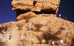 Felsnadel aus Kalksteinschichten,   929 m Höhe über NN