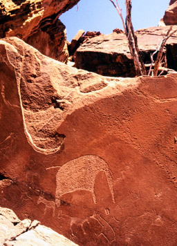 Felsmalereien - geschätztes  Alter: zwei- bis viertausend Jahre