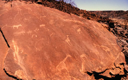 es wurden rund 50.000 Felsmalereien an 1000 Fundorten entdeckt